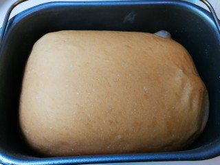 一次发酵面包,面包烤好了