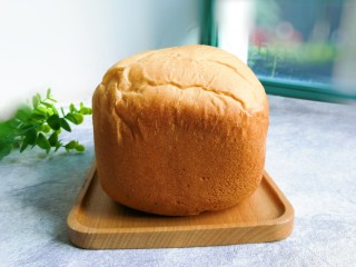 一次发酵面包,外表也不错