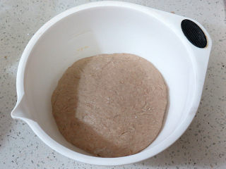 健康美味手撕包【肉桂果干黑麦面包】,将揉好的面团揉圆，放容器内进行第一次发酵