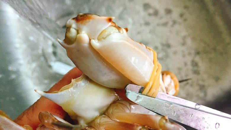 家常菜+葱油梭子蟹,用剪刀剪掉牛皮筋