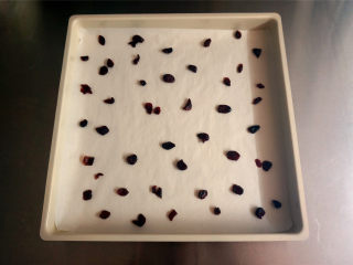 椰奶芙蓉卷,方形烤盘垫上油纸，撒上适量的蔓越莓干。
