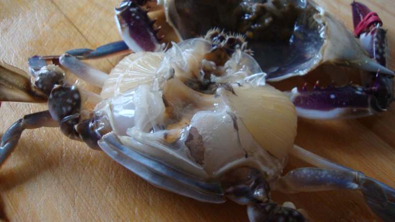 新加坡名菜：黑胡椒蟹,梭子蟹洗净，揭下蟹盖。去掉腮、心脏，把嘴掰掉，洗净