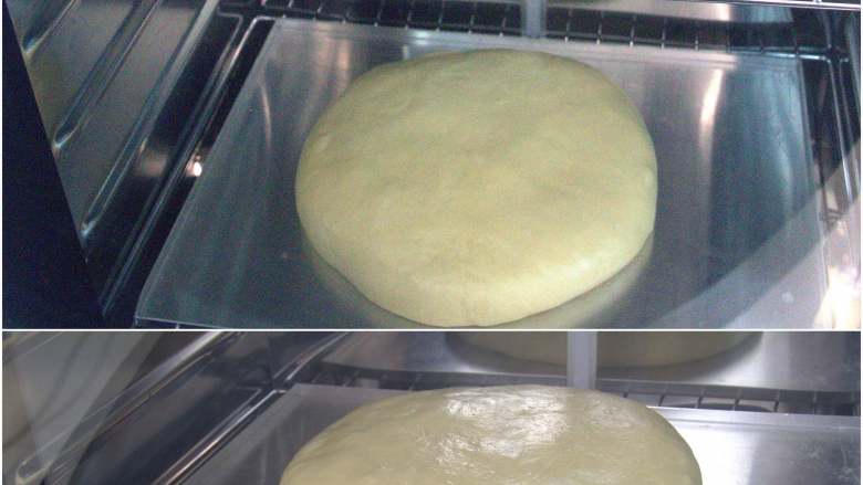 花朵面包,面团收圆放入烤盘中，COUSS CF-100A发酵箱，选择28度，湿度70%，时间60分钟，底部水盘加水加湿，面团放入进行基础发酵至约2倍大。