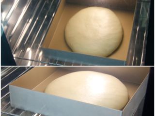 酒酿面包, CF-100A发酵箱，设置温度28度，湿度70%，时间60分钟，底部水盘加水加湿，面团放入进行基础发酵至约2倍大小。