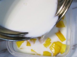 Q弹爽口的芒果奶冻,保鲜盒或者碗中倒入牛奶溶液和芒果小块。