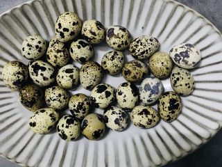 自制卤鹌鹑蛋 ,买新鲜的生鹌鹑蛋。