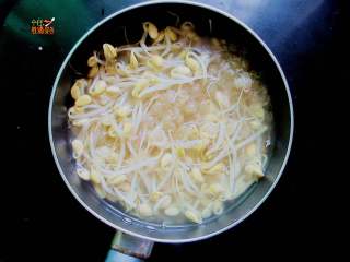 香辣干煸黄豆芽,豆芽焯水，煮到九成熟。这样做是为了去掉豆腥味