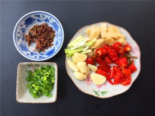 飘香啤酒鸭,准备三颗八角和适量花椒，将调味菜切成如图所示。