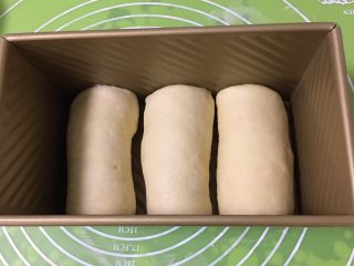 荔枝吐司面包,放入吐司盒，送入烤箱两次发酵60分钟。