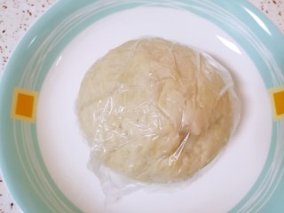 苏式鲜肉月饼,用保鲜膜包上松弛半个小时。