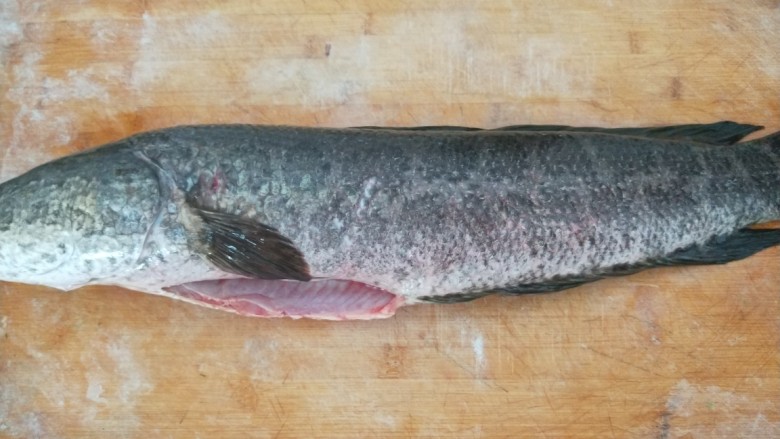 新文美食  家常酸菜鱼,黑鱼怎么洗都是粘粘的，切的时候要注意点。