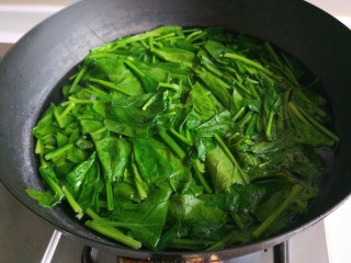 新文美食  菠菜凉拌粉丝,锅中放入适量水烧开，放入菠菜焯水一分钟。