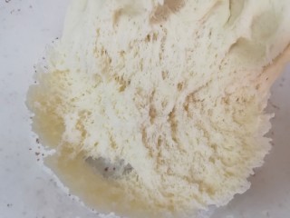 千层饼,扒开面团底部可以看到均匀的蜂窝状组织，说明面团发酵的很好。