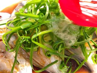 清蒸白鲳鱼,锅里烧热油，浇到葱丝和白鲳鱼上即可
