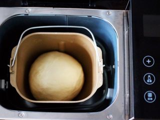 超级萌哒的毛毛虫豆沙面包，哄娃神器,面团整成圆形，重新放入面包机里进行一发。