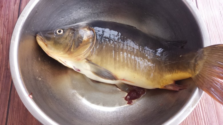 家常红烧鱼,首先把鱼收拾干净，内脏挖出来，洗干净。