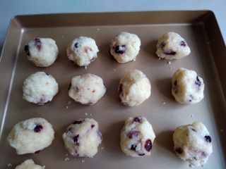 椰蓉蔓越莓冰皮月饼,分成每个20克，一共16个。