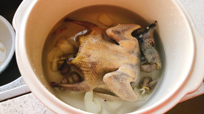 百合炖鸽子-滋补好汤,倒入清水至差0.3厘米淹没鸽子肉为宜。