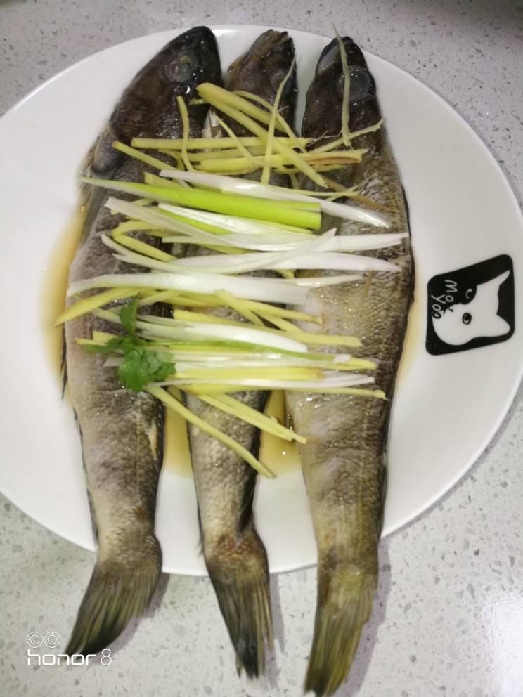 清蒸南极冰鱼
〈创建于1/1O~2018〉,腌制好的南极冰鱼，将姜葱丝均勺摆放在鱼身上。