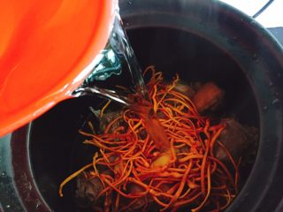 秋季煲汤+虫草花煲鸭汤,注入清水，