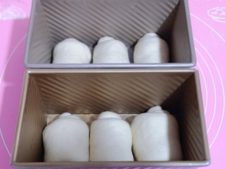  【酸奶吐司】～波兰种法,依次做好的卷，放入吐司模具中。（我的模具450g）