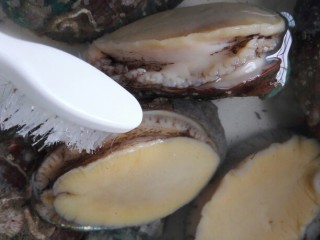 蒜香蚝汁鲍鱼,用牙刷将鲍鱼两边的脏东西刷掉