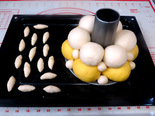 排排坐分萝卜【米菲兔挤挤小面包】 ,放到烤盘里，和主面团一起发酵
