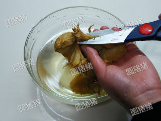 猴头菇煲鸡汤--如何处理猴头菇？,第二天早上将盐水倒掉，再反复换水洗几次，把菇蒂剪掉，再剪成大块。