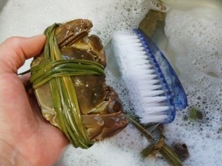 新文美食  清蒸大闸蟹,用毛刷清洗干净。在冲洗掉泡沫。
