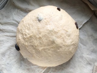 十味 葡萄干红薯发糕,十分钟后你会发现面团轻易地就可揉的非常的光滑，放在垫有湿笼布的蒸笼上，让其发酵。