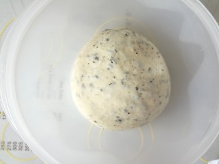  海苔芝士玛德琳咸面包,取出面团整理成光滑的面团放入发酵碗中盖上保鲜膜开始一发，室温发酵一个小时，具体时间要根据温度和面团的状态决定