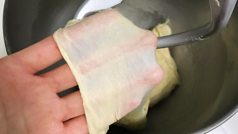 红曲双色椰浆面包,可以拉出薄而有韧性的膜，完全扩展阶段。