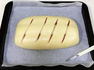 红曲双色椰浆面包,面团发至两倍大时取出，给面包表面刷上一层薄薄的鸡蛋液，用割包刀在表面划几道口。