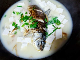 十味  奶白鲫鱼豆腐汤