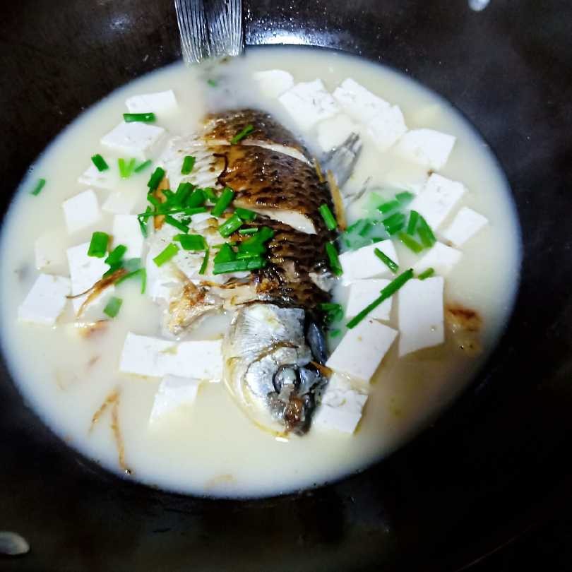 十味  奶白鲫鱼豆腐汤