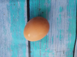 家常美味葱花炒鸡蛋,准备一个鸡蛋。