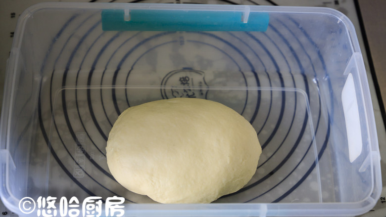 玉米芝士面包,面团收光滑，放入保鲜盒中，扣好盖子室温下进行一发，室温23度。