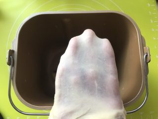 双色牛角酥,加入牛奶启动揉面程序将材料揉成面团，揉好的面团切下一小块可以撑出厚一点的手套膜 