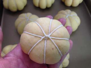 全麦紫薯南瓜面包,包好后用一条稍粗的棉线把面团均分成8份扎成如图状。