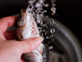 十味   海杂鱼荞麦面,用清水冲洗干净。