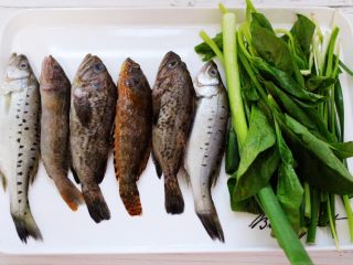 十味   海杂鱼荞麦面,首先准备好新鲜的海杂鱼，菠菜和葱姜。