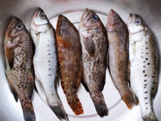 十味   海杂鱼荞麦面,先把海杂鱼用剪子去掉海杂鱼内脏。