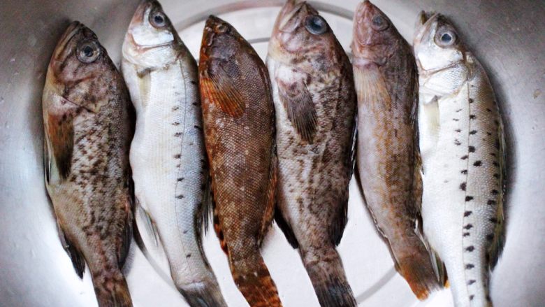 十味   海杂鱼荞麦面,先把海杂鱼用剪子去掉海杂鱼内脏。