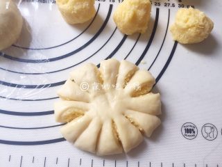 椰蓉花朵面包,用刀在扁圆形的面团上切12刀，注意中间不要切断