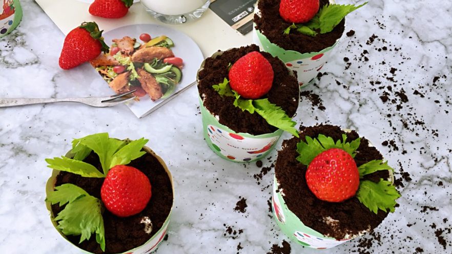 盆栽草莓蛋糕
