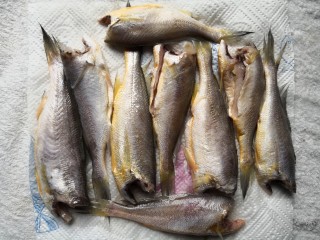 盐焗小黄鱼,小黄鱼去鳞片、鱼头、内脏，洗净，用厨房用纸吸干水分。