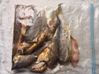 盐焗小黄鱼,将黄鱼装进可封口的保鲜袋，加入香料和料酒，在鱼身上揉匀。尽可能将袋中空气挤干净后封上袋口，放冰箱冷藏半小时以上。
