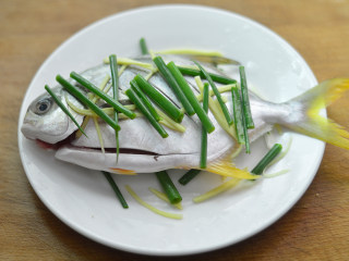 清蒸金鲳鱼,在鱼的表面铺上姜丝和葱段