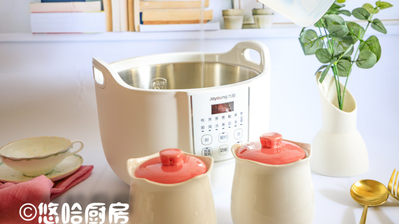 桃胶皂角米炖牛奶,桃花盏是隔水炖煮的电炖锅，所以要在炖锅中加入清水至刻度位置。