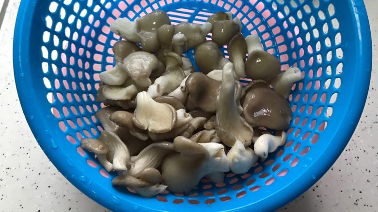 虾油贝丁萝卜丝菌菇,菌菇洗净，控干水分